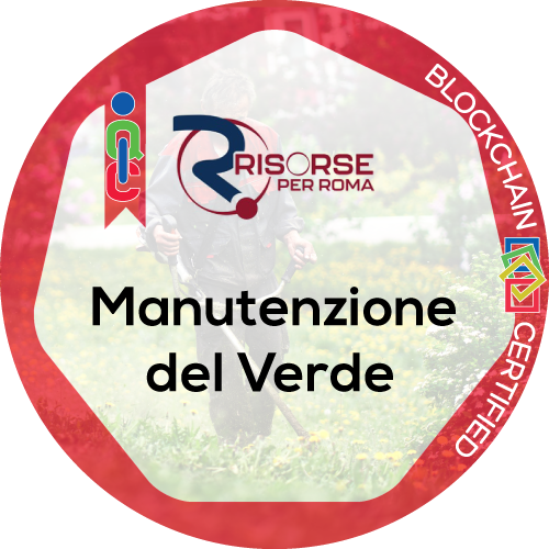 Proprietario - Servizio